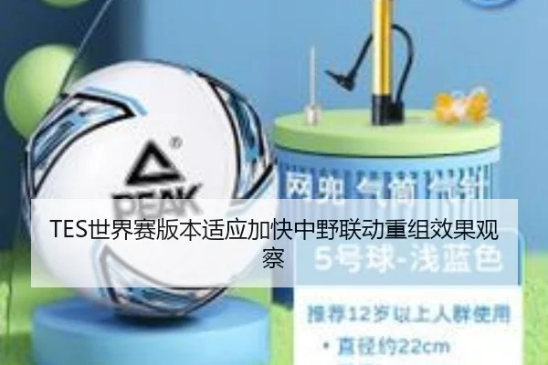 TES世界赛版本适应加快中野联动重组效果观察